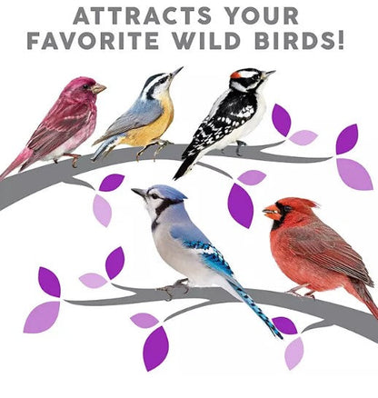 Harvest Seed & Supply Birder's Medley Wild Bird Food, Premium Mix of Bird Seed, (20 lbs.)