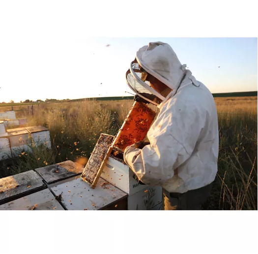 Local Hive Northeast Raw & Unfiltered Honey (48 oz.)