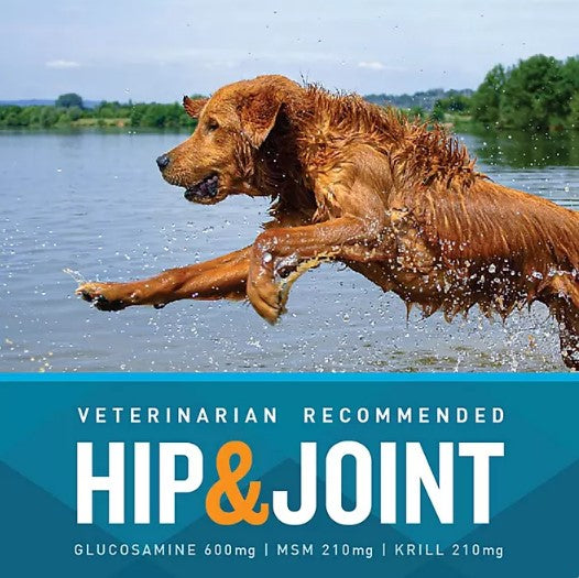 VETIQ Maximum Strength Hip & Joint Soft Dog Chews, Chicken Flavored (180 ct.)