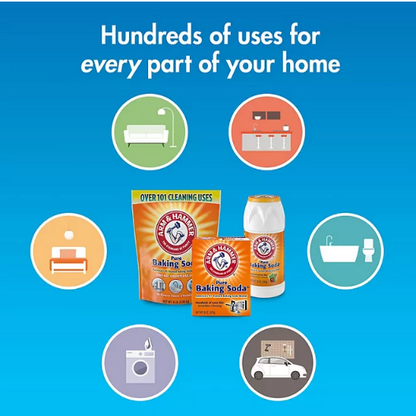 Arm & Hammer Baking Soda (1 lb. boxes, 12 pk.)