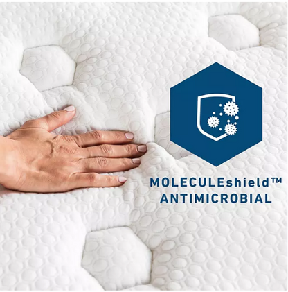 Molecule 13" Medium Firm Hybrid Mattress