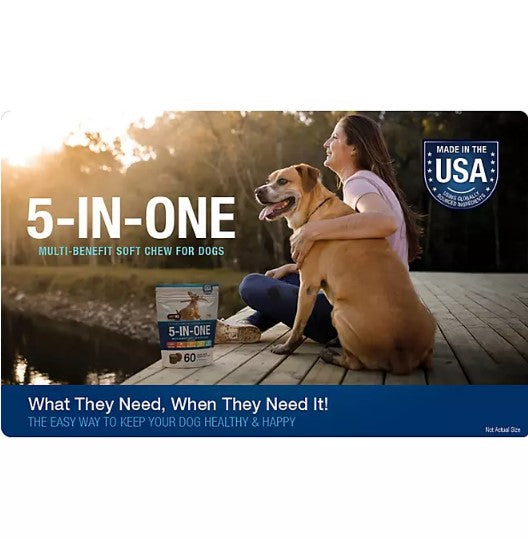 VETIQ 5-In-One Multi-Benefit Soft Dog Chews, Hickory Smoke Flavored (60 ct., 2 pk.)