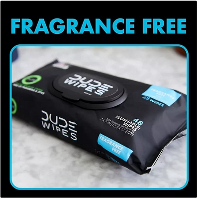 DUDE Wipes, Flushable Wipes, Extra Large, Fragrance-Free Wipes (400 ct.)