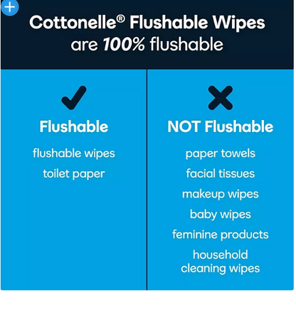 Cottonelle Flushable Wet Wipes, 12 Flip-Top Packs (42 wipes/pk., 12 pk.)