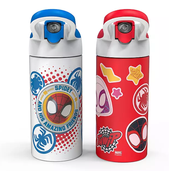 Zak Designs Antimicrobial 14-oz. Stainless Steel Vacuum Insulated Kids Riverside Bottle, 2-Piece Set (Assorted Colors)