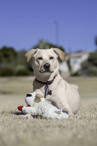 Multipet Plush Dog Toy, Lambchop, 10", White/Tan