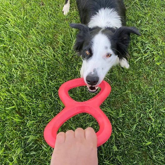 West Paw's Play Pack Dog Toys ( 3 ct.)