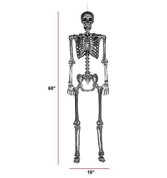 Member's Mark 2-Pack Talking Skeleton, Silver or Bronze