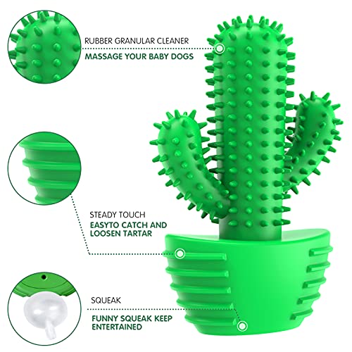 Dog Chew Toys Dog Toothbrush Stick Teeth Cleaning Brush Dental for Small Medium Large Dog, Rubber Dog Squeaky Toys for Aggressive Chewers Cactus Tough Toys Interactive for Training Cleaning Teeth