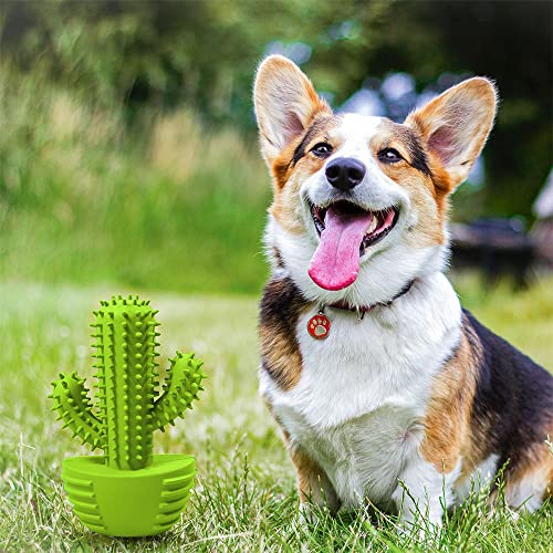 Dog Chew Toys Dog Toothbrush Stick Teeth Cleaning Brush Dental for Small Medium Large Dog, Rubber Dog Squeaky Toys for Aggressive Chewers Cactus Tough Toys Interactive for Training Cleaning Teeth