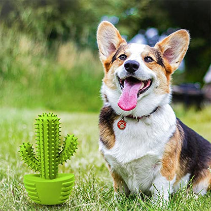 Dog Chew Toys Dog Toothbrush Stick Teeth Cleaning Brush Dental for Small Medium Large Dog, Rubber Dog Squeaky Toys for Aggressive Chewers Cactus Tough Toys Interactive for Training Cleaning Teeth