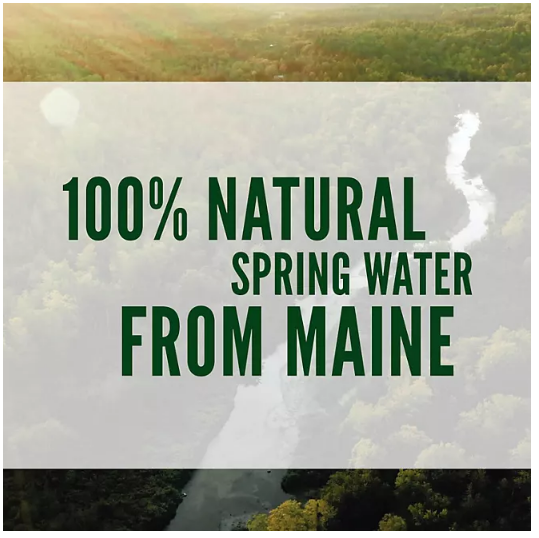 Poland Spring 100% Natural Spring Water (23.7 fl. oz., 24 pk.)