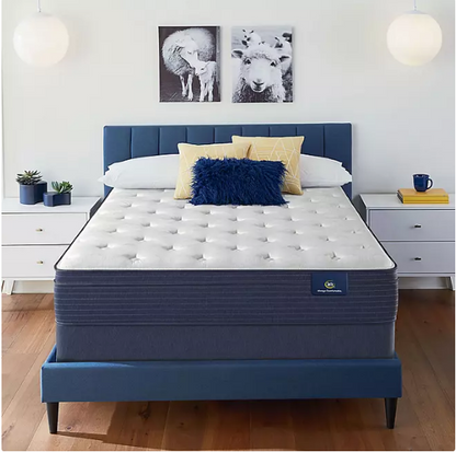 Serta Elizabethtown Plush Euro-Top Mattress Set