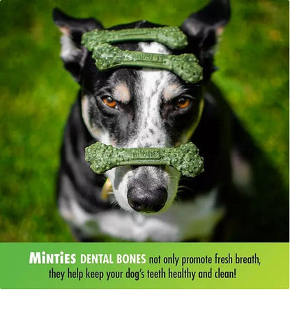 Minties Dental Dog Bone Treats, Maximum Mint (32 oz.)