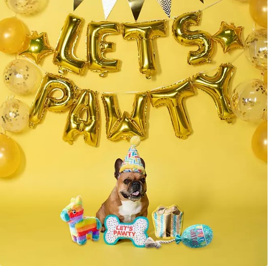 Let's Pawty Birthday Box Dog Toy Bundle, 5-Piece Set (White)