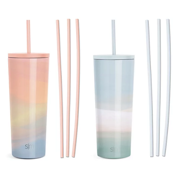 Simple Modern 2pack 24oz Stainless Steel Classic with Six Bonus Straws (Assorted Colors)