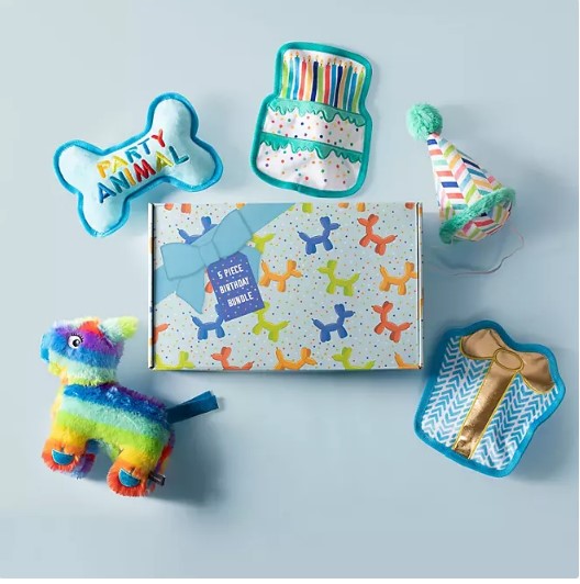 Party Animal Birthday Box Dog Toy Bundle, 5-Piece Set (Blue)