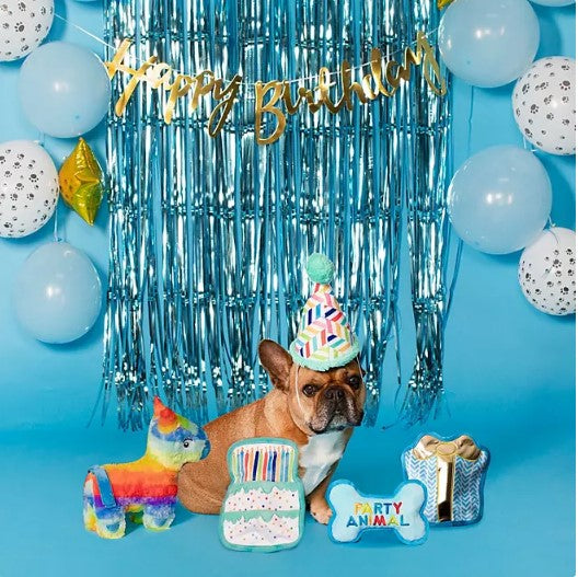 Party Animal Birthday Box Dog Toy Bundle, 5-Piece Set (Blue)