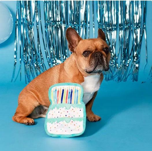 Party Animal Birthday Box Dog Toy Bundle, 5-Piece Set (Blue)