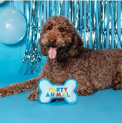 Party Animal Birthday Box Dog Toy Bundle, 5-Piece Set (Blue)