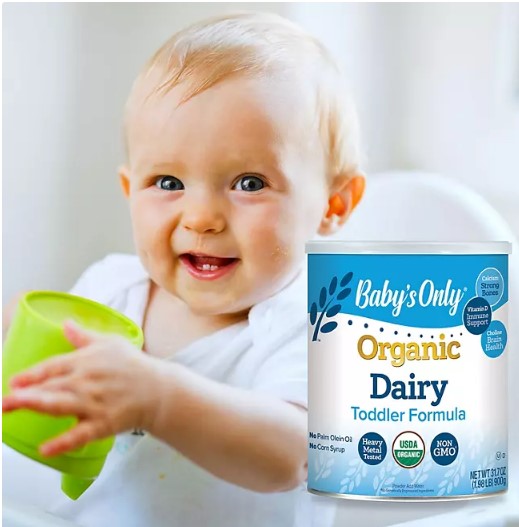 Baby's Only Organic Dairy Toddler Formula (31.75 oz.)