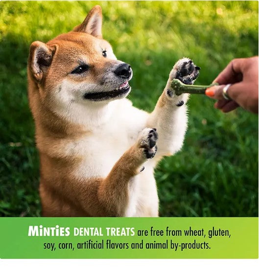 Minties Dental Dog Bone Treats, Maximum Mint (32 oz.)